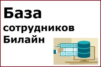 База сотрудников Билайн